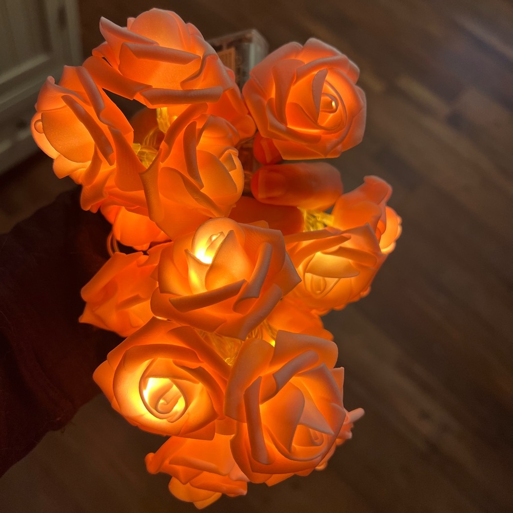 Light up pink roses